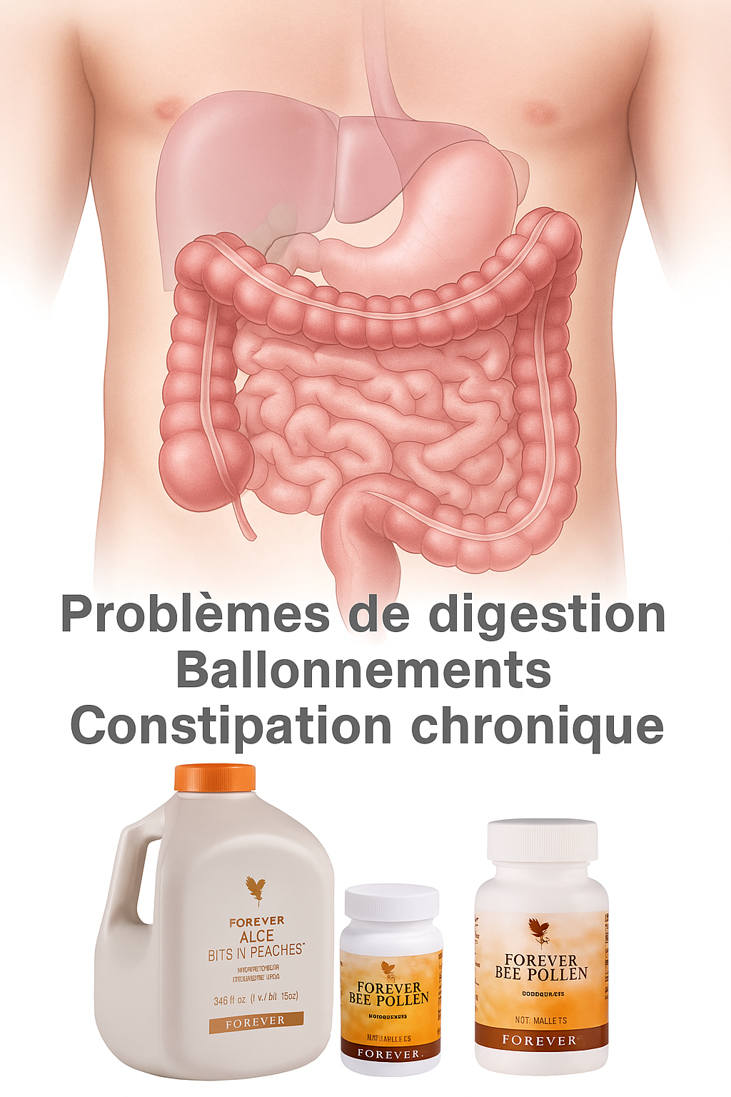 Pack Digestion – Constipation & Ballonnements