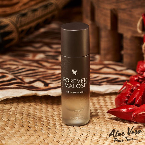 Parfum homme MALOSI