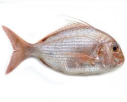 Dorade moyenne (300g)