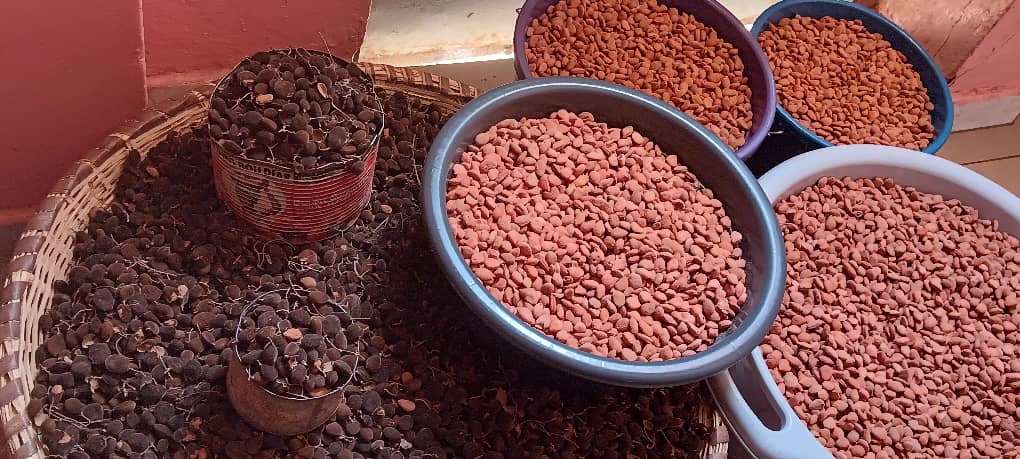 Solom non décortiqué 