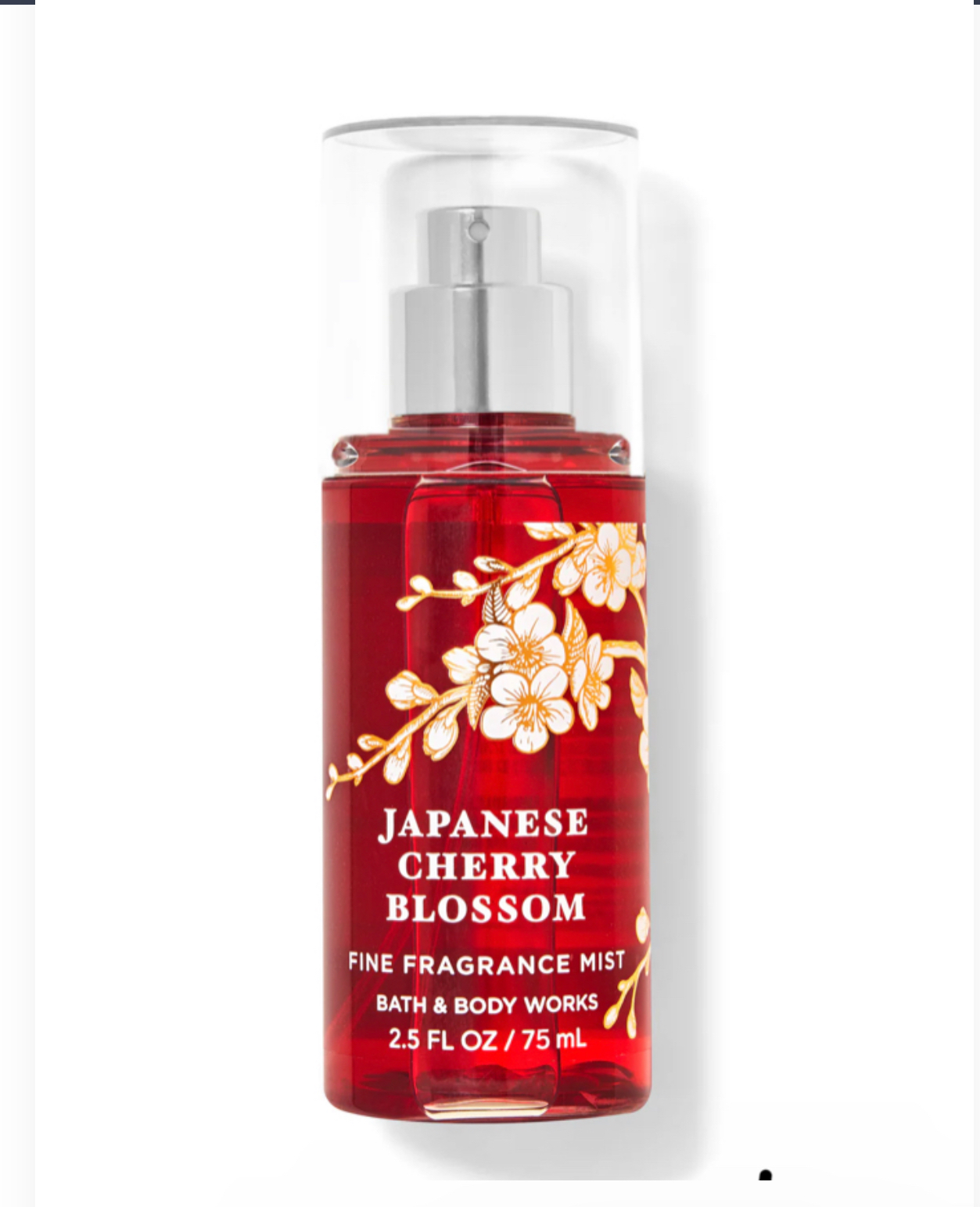 Japanese Cherry Blossom 