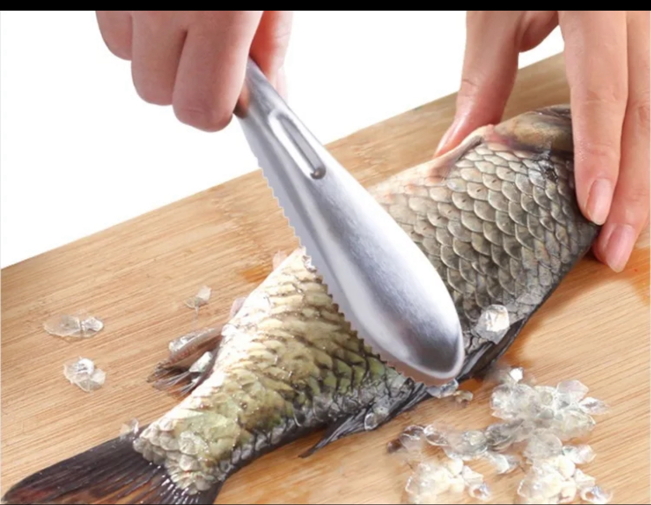 Écailleur de Poisson – Acier Inoxydable