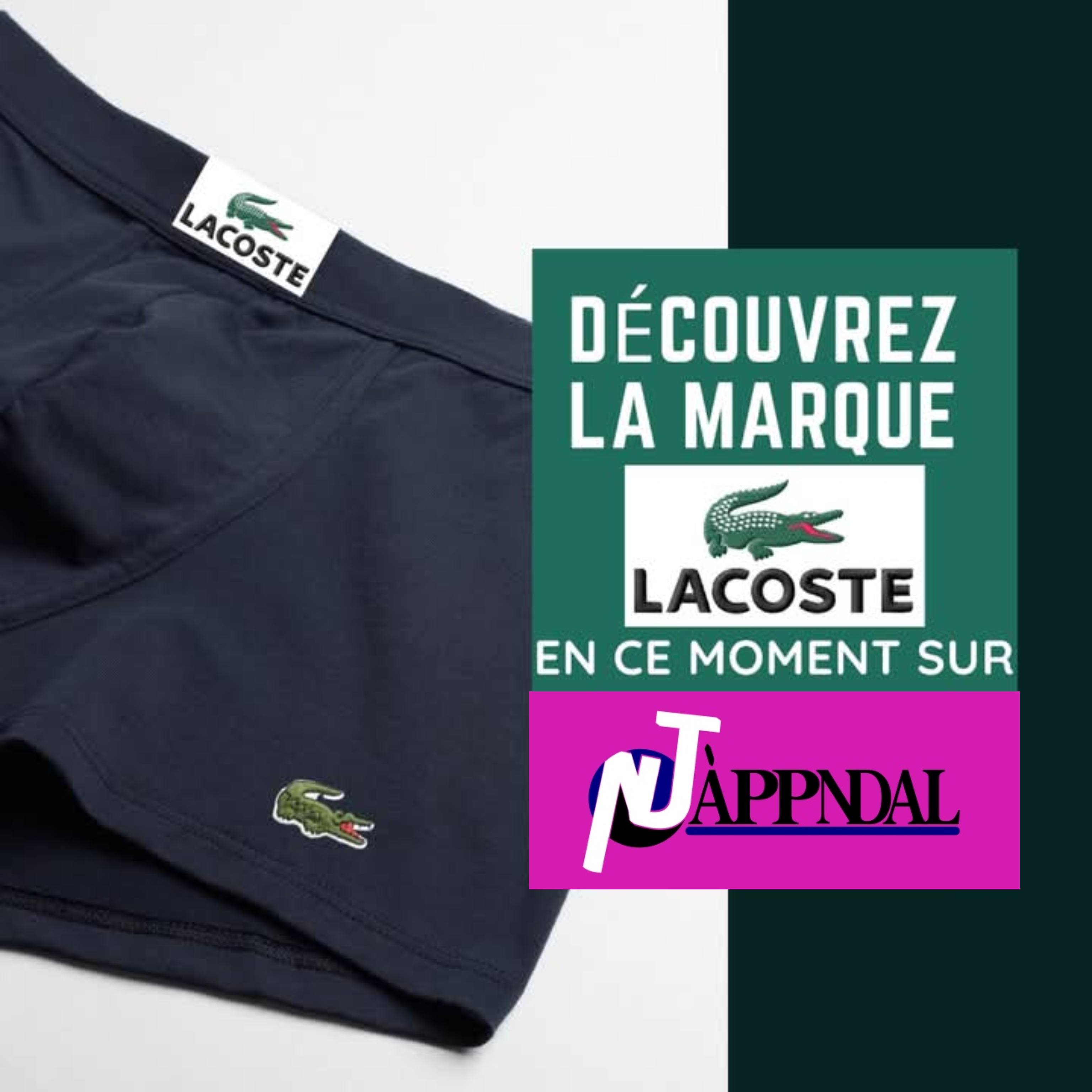 Caleçon lacoste douzaine 