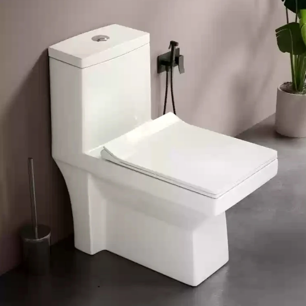 Ensemble WC  monobloc sans rebord