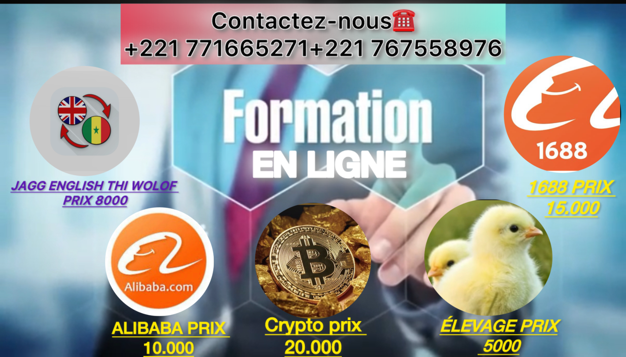 Formation en ligne #formation alibaba Formation cryptomonnaie formation élevage formation 1688 formation jagg English thi wolof 